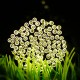 SSL-13 LED 7M 50LED Solar Panel String Light Holiday Garden Wedding Decoration