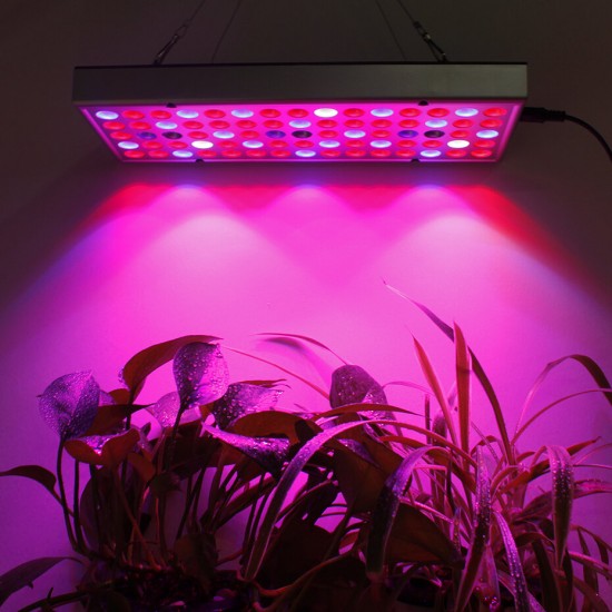 25W 75LED Full Spectrum Plants Growing Lamps 1000lm UV Red Blue White Light Chips for Greenhouse Seeding Cultivation Indoor Flower Bonsai Planting