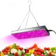 25W 75LED Full Spectrum Plants Growing Lamps 1000lm UV Red Blue White Light Chips for Greenhouse Seeding Cultivation Indoor Flower Bonsai Planting