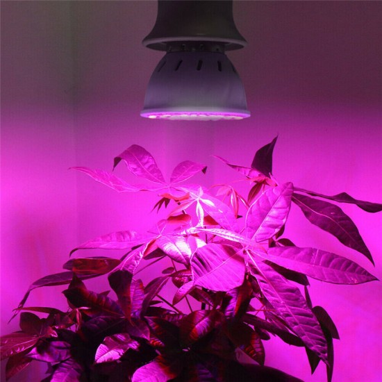 E27 LED Plant Growth Light 48/60/80 LED Indoor Hydroponic Flowers Seedlings Grow Light Lamp Bulb For Veg Bloom Indoor Plant