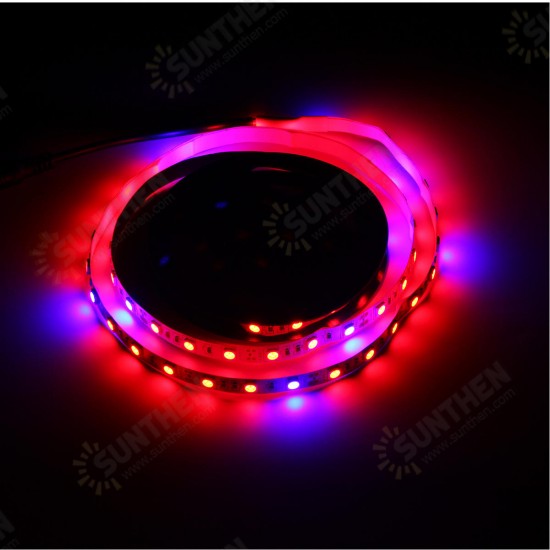 1M SMD5050 Red:Blue 5:1 Full Spectrum LED Grow Strip Light Hydroponic Greenhouse Plant DC12V