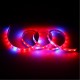 1M SMD5050 Red:Blue 5:1 Full Spectrum LED Grow Strip Light Hydroponic Greenhouse Plant DC12V