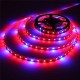 1M/2M/3M/4M/5M SMD5050 Non-Waterproof LED Grow Lights Full Spectrum Plant Strip Lamp DC12V