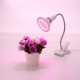 20W 200LED Plant Grow Light Flexible Flower Lamp Clip Holder with Switch for Greenhouse Indoor AC100-240V