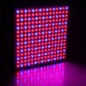 45W 200W Reflector Cup Full Spectrum Led Grow Lights For Grow Tent Box Indoor Greenhouse