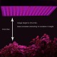 45W 225LEDs SMD2835 LED Grow Lights LED Horticulture Grow Light for Garden Flowering Plant