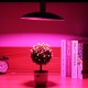 50W Grow Light E27 Bulb Full Spectrum Indoor Plant Lamp Hydroponic System AC220V