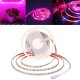 5M SMD5050 Waterproof Full Spectrum LED Plant Grow Strip Light for Greenhouse Aquarium DC12V