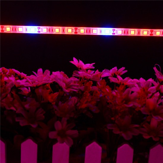 5PCS 50CM 5050 Waterproof LED Grow Light Strip Lamp+ Power Adpater for Veg Flower Plant DC12V