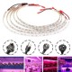 5PCS 50CM 5050 Waterproof LED Grow Light Strip Lamp+ Power Adpater for Veg Flower Plant DC12V