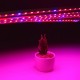 5PCS 50CM SMD5050 Non-waterproof 5:1 LED Strip Light + 5A Power Adapter for Grow Plant Garden DC12V