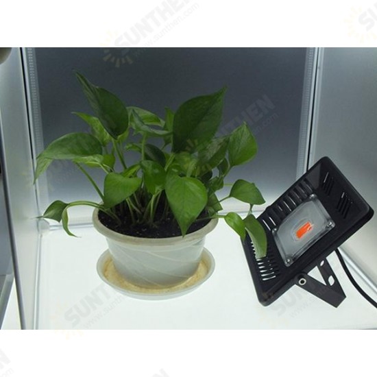 AC170-300V 50W Full Spectrum LED Plant Grow Flood Light Waterproof Ultra Thin For Indoor Ourdoor