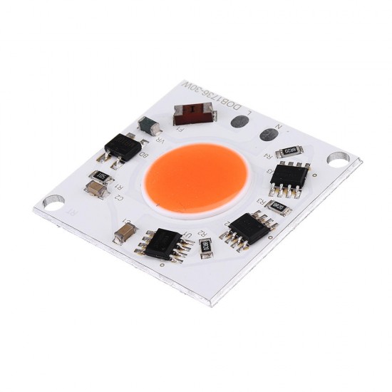 AC220-240V High Power 30W Full Spectrum COB LED Grow Light Chip for Floodlight