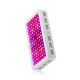 Double Chips LED Grow Light 600W/800W/1200W Full Spectrum Grow Lamp for Greenhouse Hydroponic Indoor Plants