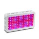 Double Chips LED Grow Light 600W/800W/1200W Full Spectrum Grow Lamp for Greenhouse Hydroponic Indoor Plants