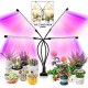 DC 5V 9W 18W 27W 36W 80 LED Grow Light with Timer Desktop Clip Full Spectrum PhytoLamps for Plants Flowers Grow Box