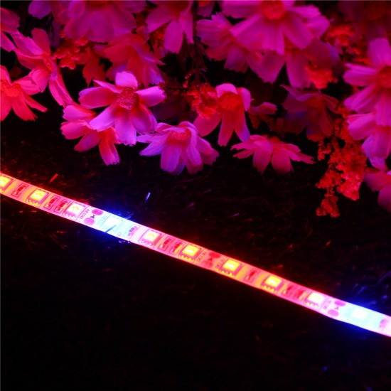 DC12V 5PCS 50CM SMD5050 LED Strip Grow Light Hydroponic Indoor Veg Plant Lamp Kit + Power Adpater