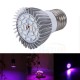 E27 7.5W LED 12 Red 6 Blue Plant Grow Light Bulb for Garden Hydroponics Greenhouse Organic