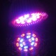 E27 7.5W LED 12 Red 6 Blue Plant Grow Light Bulb for Garden Hydroponics Greenhouse Organic