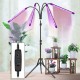 LED Grow Light Tripod Plant Growing Lamp Lights With Tripod For Indoor Plants