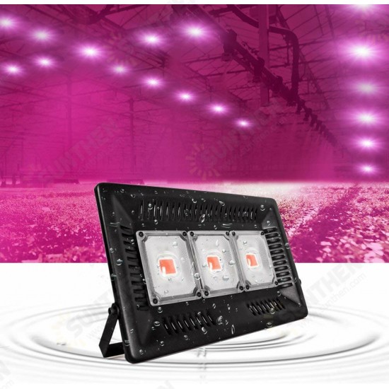 COB LED Grow Lights 450W Outdoor Grow Light Full Spectrum Plants Waterproof Natural Heat Dissipation No Noise Panel Light for Greenhouse Garden