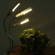 Three Heads USB LED Timing Plant Grow Light Growth Phyto Sunlight Flower Growing Lamp