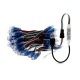 5M WS2811 RGB IP68 Full Color 50PCS Bulbs LED Pixel Module Strip Light with 3keys Controller DC5V