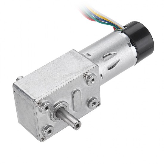 JGY-370 DC 12V Double Shaft Brushless Motor Reduction Gear Turbine Worm Self-locking Motor