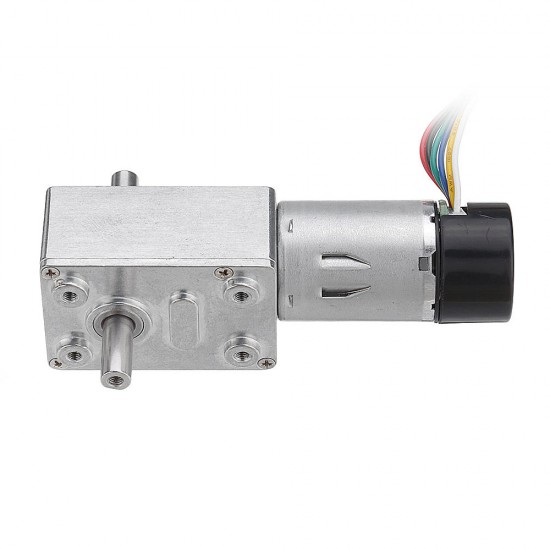 JGY-370 DC 24V Double Shaft Motor Reduction Gear Turbine Worm Self-locking Low Speed Motor