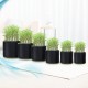 Black Fabric Aeration Grow Pots Breathable Planter Container Bags 1/2/3/5/7/10 Gallon