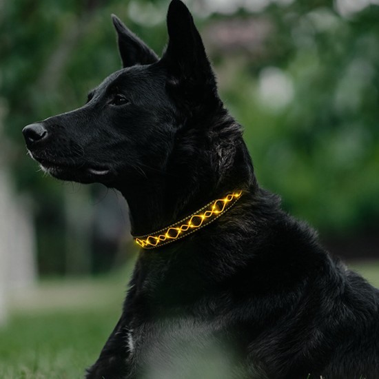 LED Dog Pet Collar Flashing Luminous Safety Night Light Flashing Adjustable