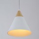 Modern Pendant Lighting Nordic Minimalist Pendant Lights Over Dining Table Kitchen Island Hanging Lamps Dining Room Lights