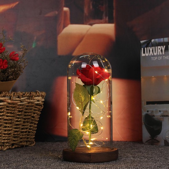 Red Rose Lights Decorations Beauty Enchanted Preserved Red Fresh Rose Glass Cover with LED Light