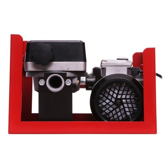 550W 60L/min Automatic Electric Diesel Pump Diesel Liquids Self-Priming Oil Pump with 5m Hose