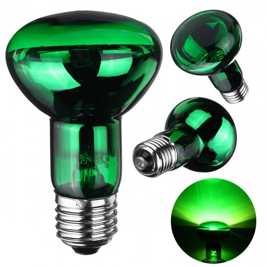 E27 R63 25W 40W 50W 60W 75W 100W Green Night Amphibian Snake Lamp Heat Reptil Light Bulb AC220-240V