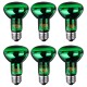 E27 R63 25W 40W 50W 60W 75W 100W Green Night Amphibian Snake Lamp Heat Reptil Light Bulb AC220-240V