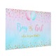 3x5FT 5x7FT 6x8FT Vinyl Boy or Girl Reveal Photography Backdrop Background Studio Prop