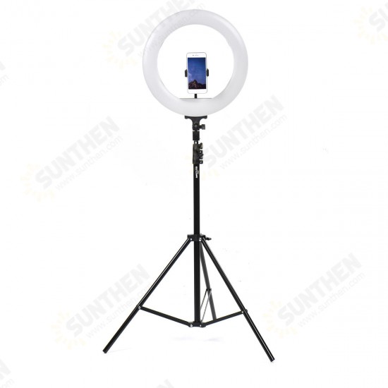 50cm Foldable Portable Video Ring Light Flash Holder Stand Tripod for Youtube Tik Tok Live Streaming