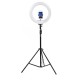 50cm Foldable Portable Video Ring Light Flash Holder Stand Tripod for Youtube Tik Tok Live Streaming