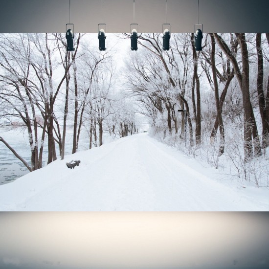 5x7FT Vinyl Winter Snow Road River Side Photography Backdrop Background Studio Prop