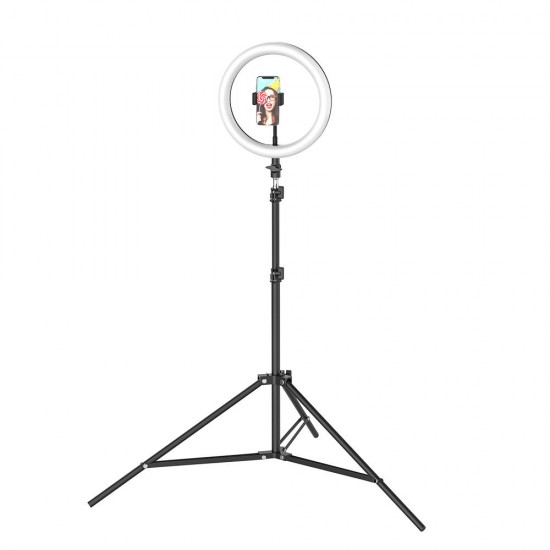 BW-SL2 10 Inch USB LED Ring Light Selfie Tripod for VK Tiktok Youtube Live Makeup with 160cm Stand