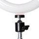 RK43 8 Inch 3200K-6500K LED Ring Light Selfie Makeup Mirror Fill Light Photographic Lamp for Youtube Live Broadcast Video Photo