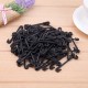 Garden Tool 100pcs Plastic Grapes Clips Vegetable Flower Plant Graft Clamp Grafting Vines Clipper