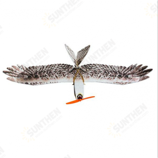 DW Eagle EPP Mini Slow Flyer 1200mm Wingspan RC Airplane KIT