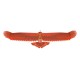 New Biomimetic Northern Cardinal 1170mm Wingspan EPP Foam Slow Flyer RC Airplane KIT/KIT+Motor