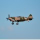 P-40B Flying Tiger 980mm (38.6inch) Wingpspan Warbird EPO RC Airplane PNP