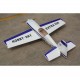 300-L 1200mm Wingspan EPO 3D Aerobatic Stunt RC Airplane KIT/PNP Aircraft Plane