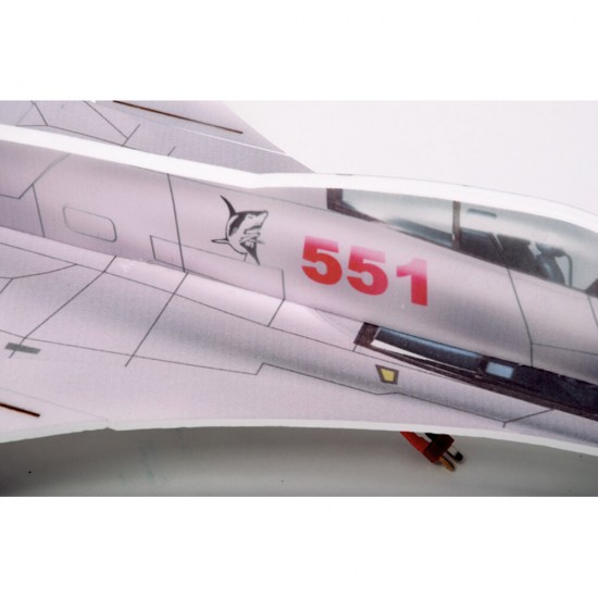 J15 Wabird 8100mm Wingspan PP Board RC Airplane KIT