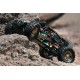 16886 1/14 4WD 2.4G RC Car Off Road Desert Truck Brushed Vehicle Models Full Proportional Control