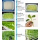 2 Layer 36 Sites Hydroponic Grow Kit Ebb Flow Deep Water Culture Growing DWC Planting Garden Vegetable System